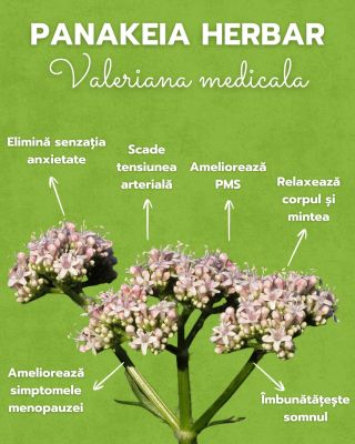 TE DERANJEAZĂ INSOMNIA SAU ANXIETATEA? Ai grijă. ☝️👀 Astăzi, după mult timp, deschidem fereastra plantelor medicinale și...